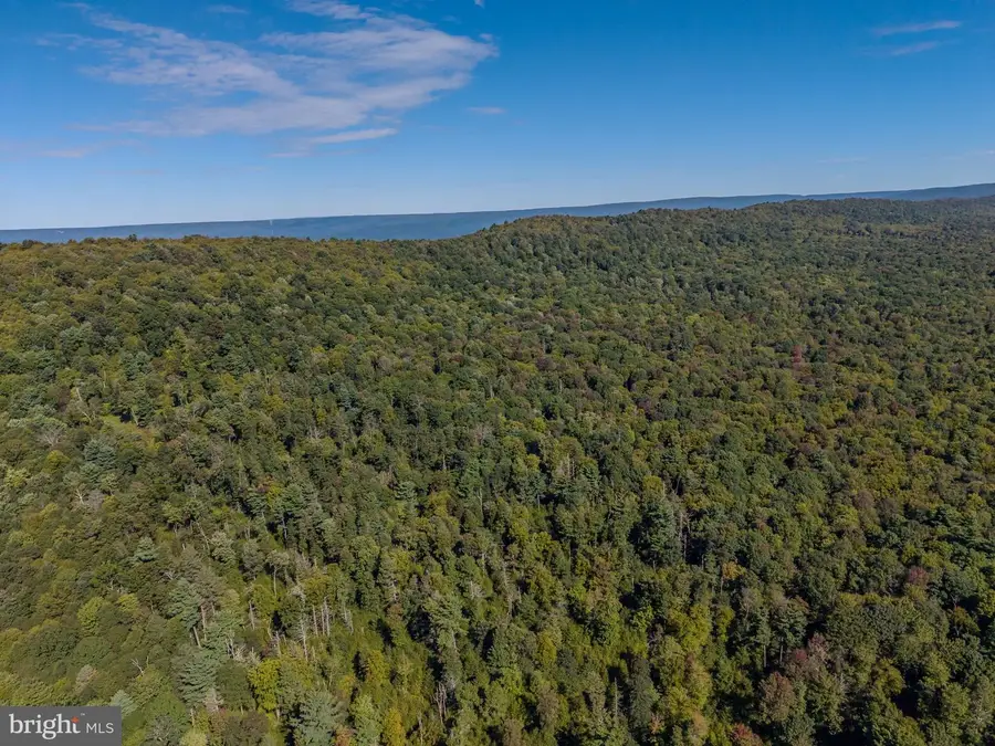 00 Copeland Spring Trl #parcel 2, Allensville, PA 17002 - #2