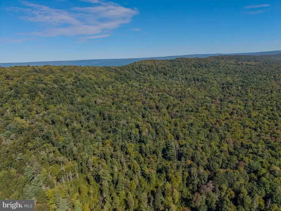 00 Copeland Spring Trl #parcel 2, Allensville, PA 17002 - #3