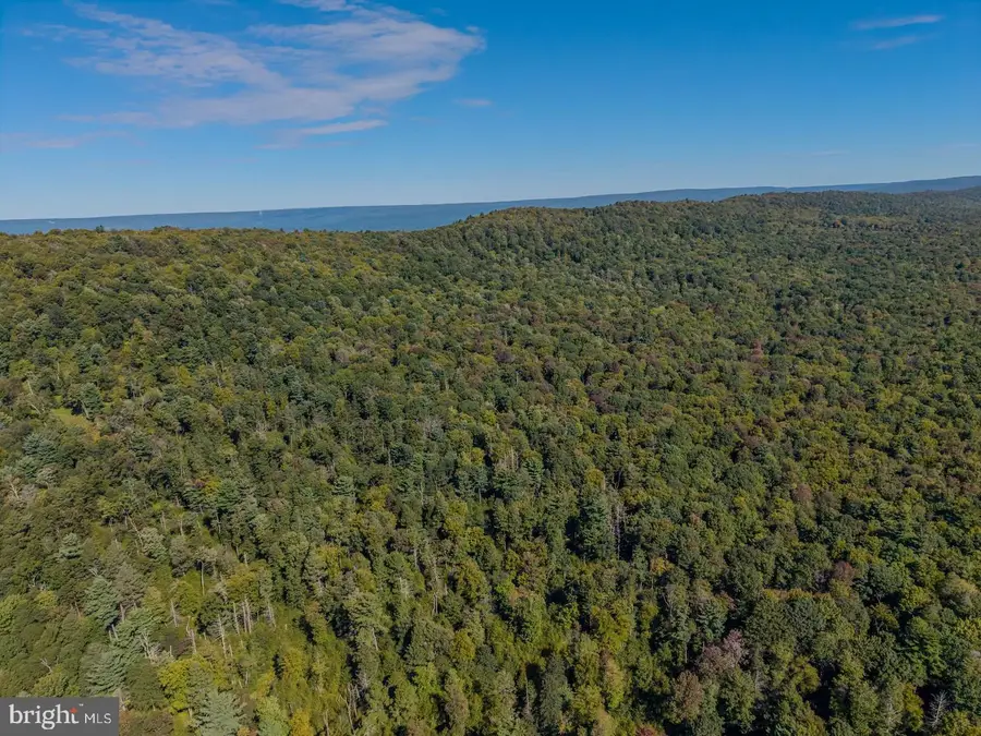 00 Copeland Spring Trl #parcel 3, Allensville, PA 17002 - #3