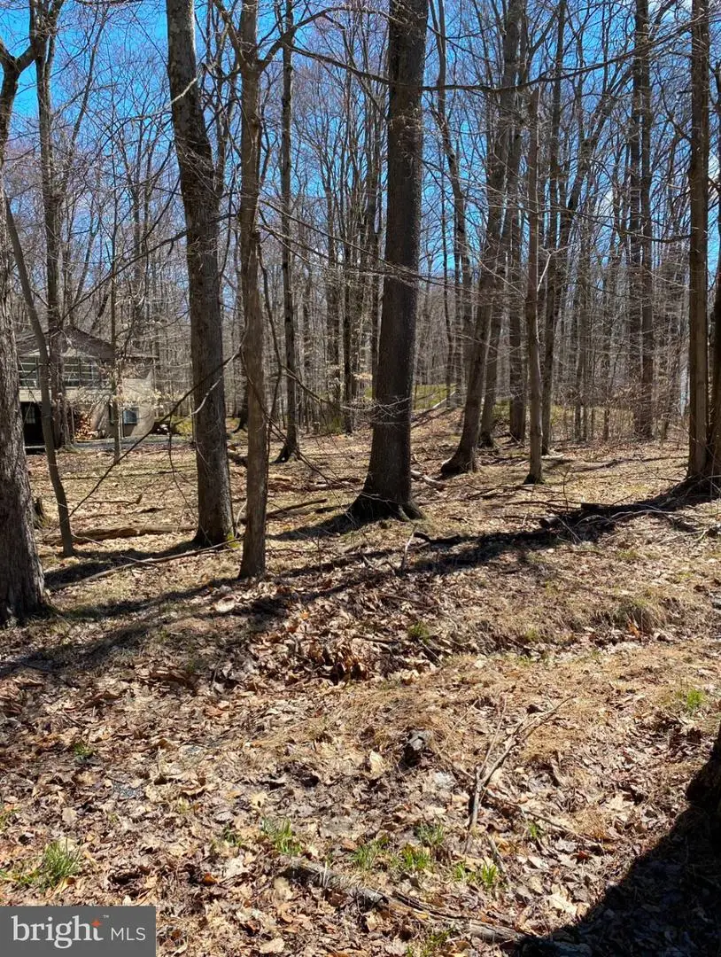 301 Tommy Ln, Pocono Lake, PA 18347 - #1