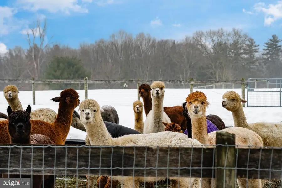 216 Merwinsburg Rd, Effort, PA 18330 - #2