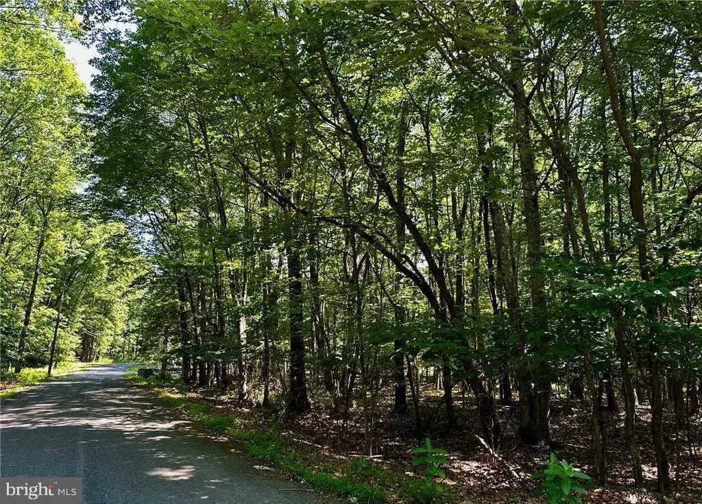 500 Sumac Ct, Kunkletown, PA 18058 - #1