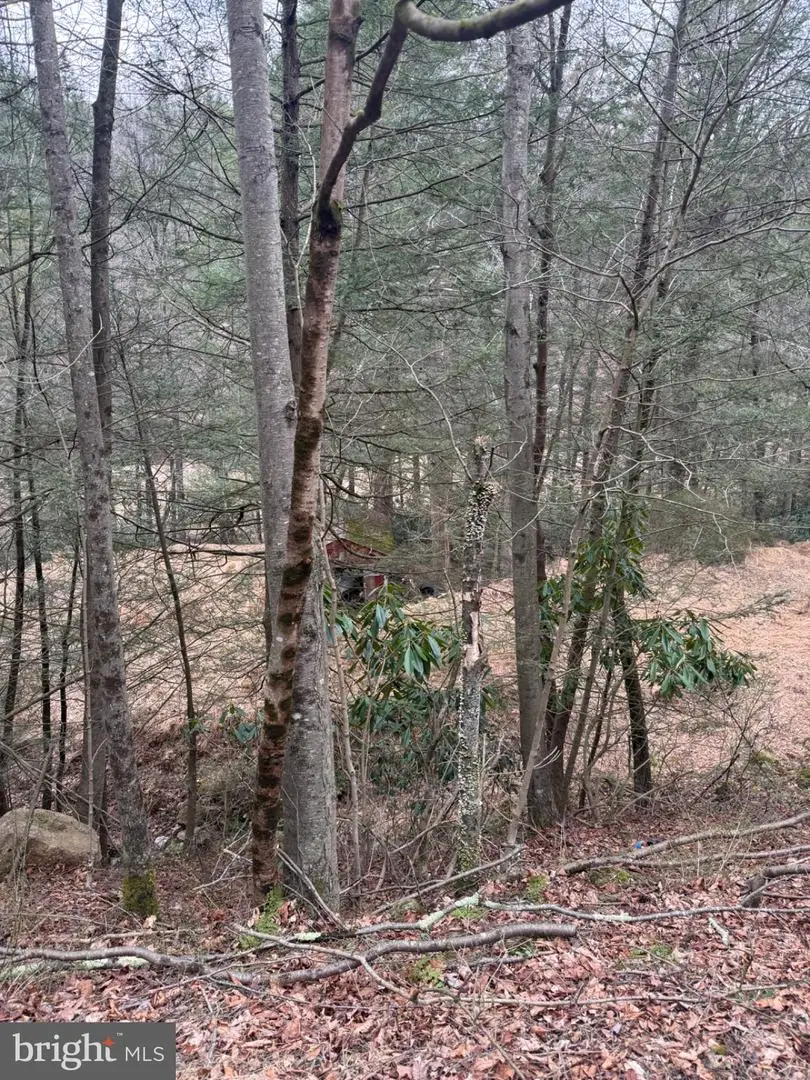 3603 Lakewood Dr, Saylorsburg, PA 18353 - #2