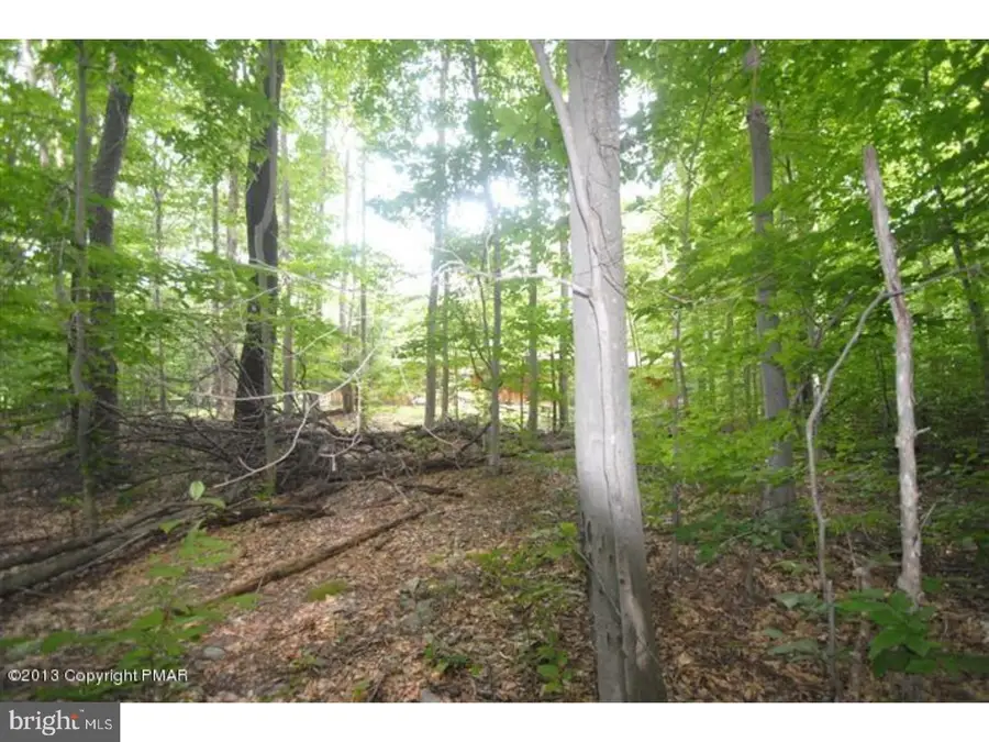 31-32 Sweet Briar Rd #unit 1 Sec 3, Pocono Pines, PA 18350 - #3