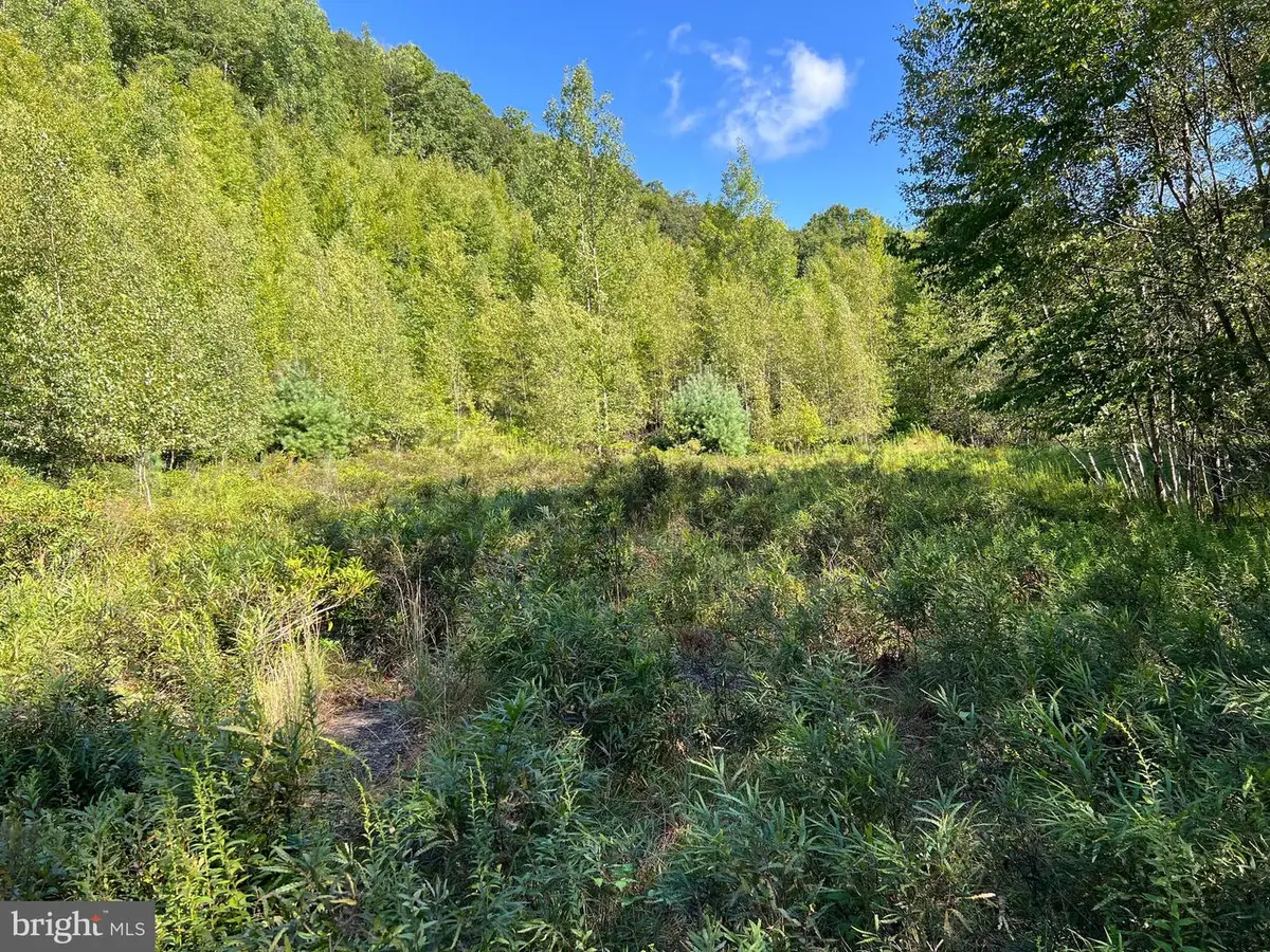 0 Lower Mountain Drive Lower Mountain Drive, Effort, PA 18330 - #1