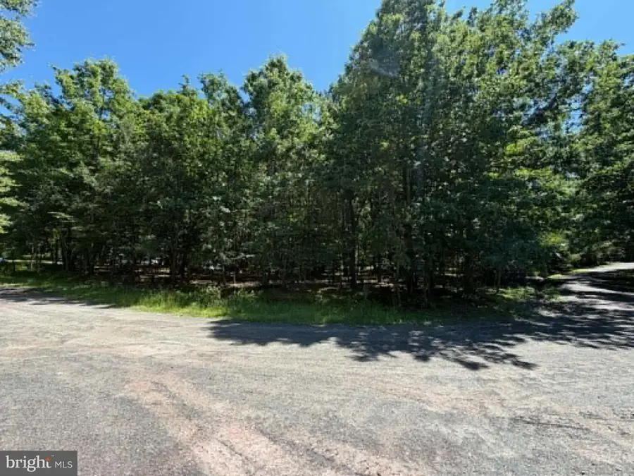 0 Wildwood Ln, Canadensis, PA 18325 - #2