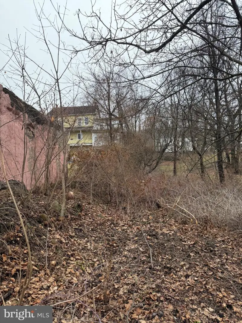 W Pine St, Coal, PA 17866 - #2