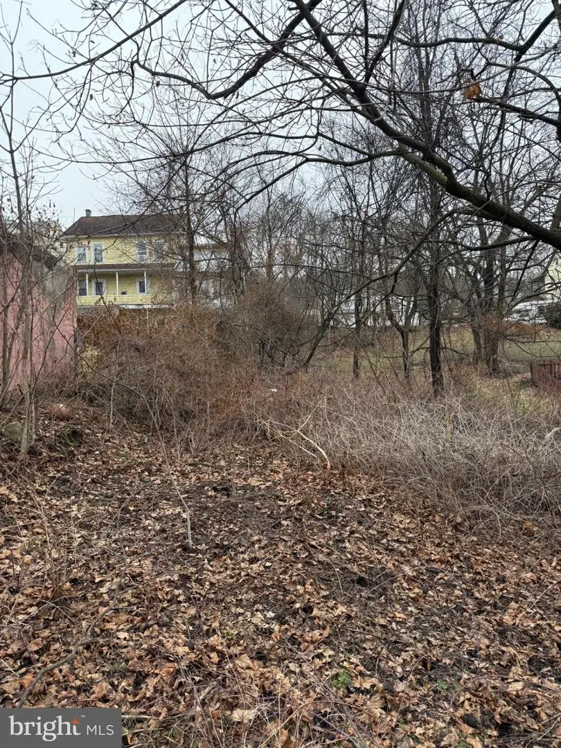 W Pine St, Coal, PA 17866 - #3