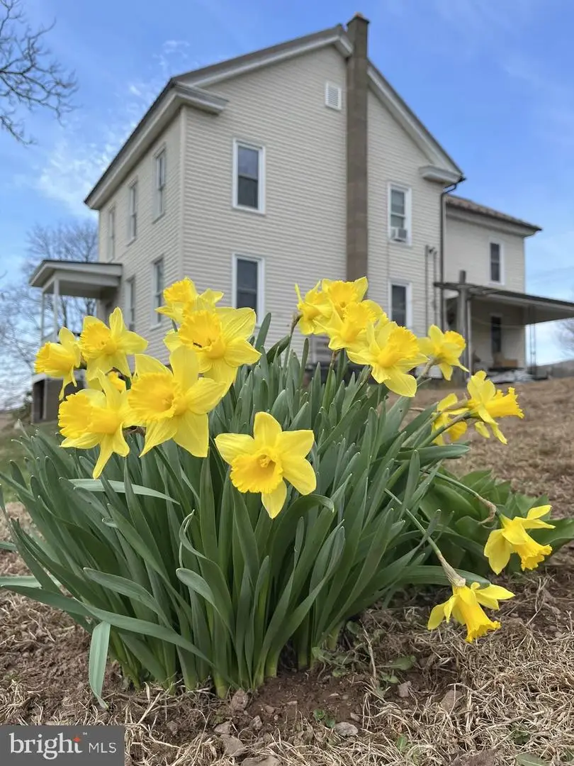 148 Falck Rd, Rebuck, PA 17867 - #1