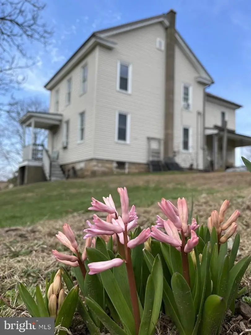 148 Falck Rd, Rebuck, PA 17867 - #2