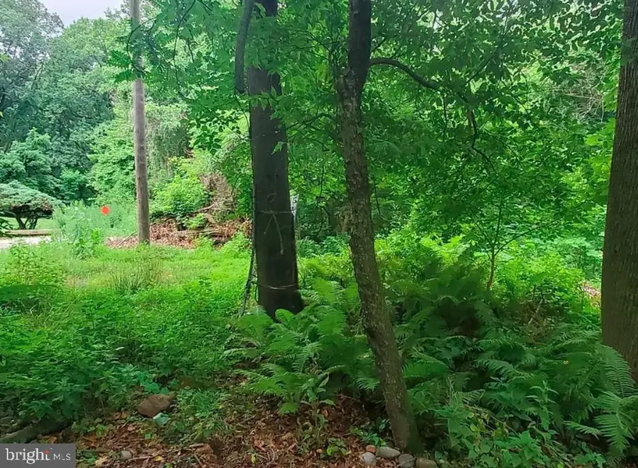 #3