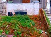 1064 Wagner Ave, PHILADELPHIA, PA 19141