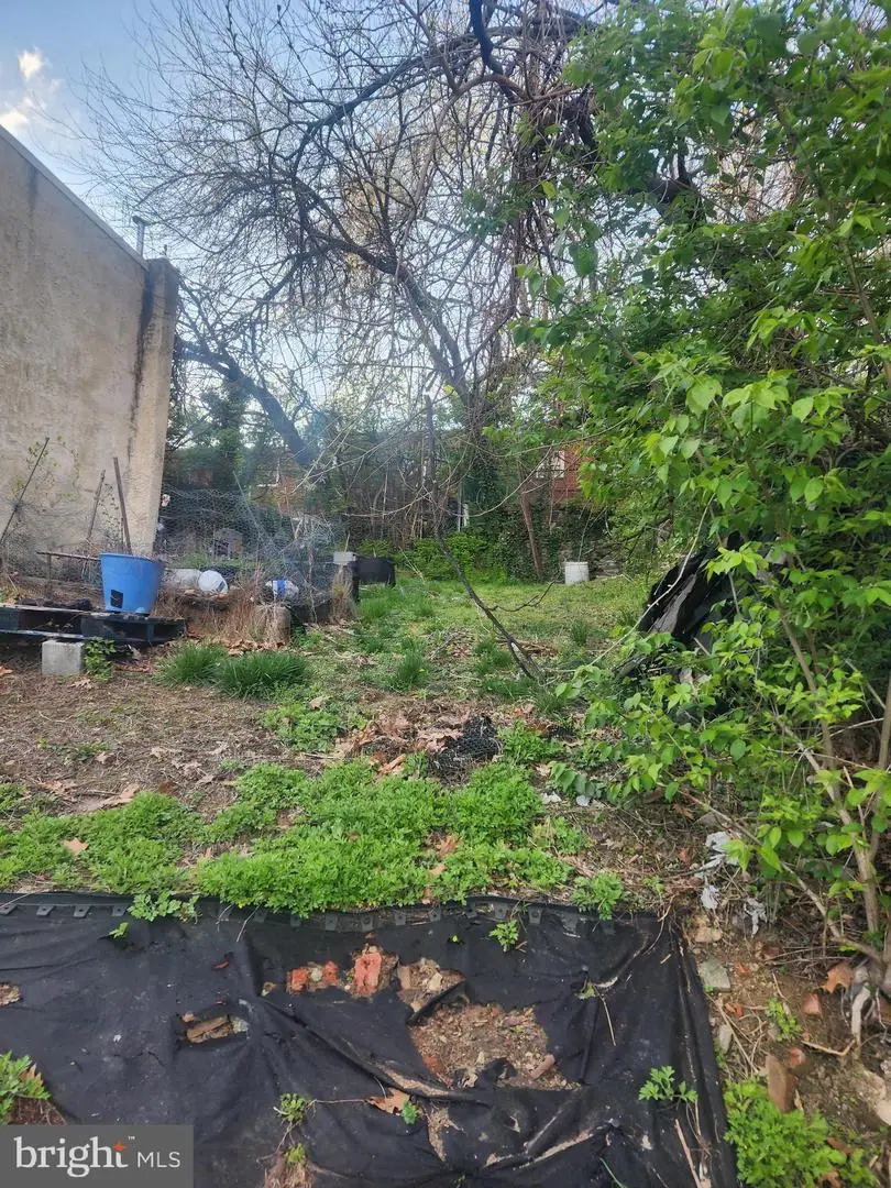 457 E Price St, Philadelphia, PA 19144 - Image #3