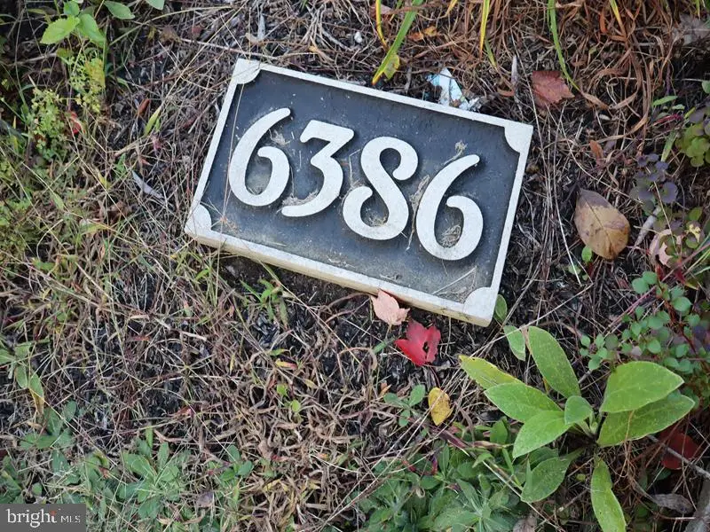 6386 Sherwood Rd, Philadelphia, PA 19151 - Image #2