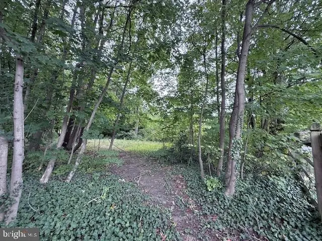 802 Westview & 605 Arbutus St, Philadelphia, PA 19119 - #3