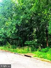 2036 Bergen St, Philadelphia, PA 19152 - #3