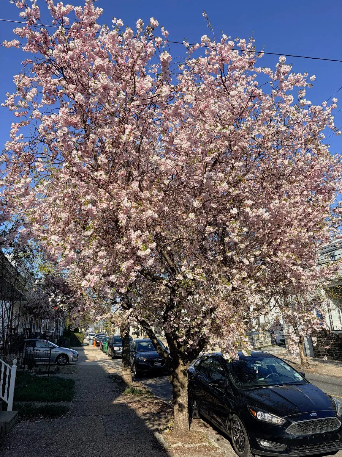 450 Leverington Ave, Philadelphia, PA 19128 - #1