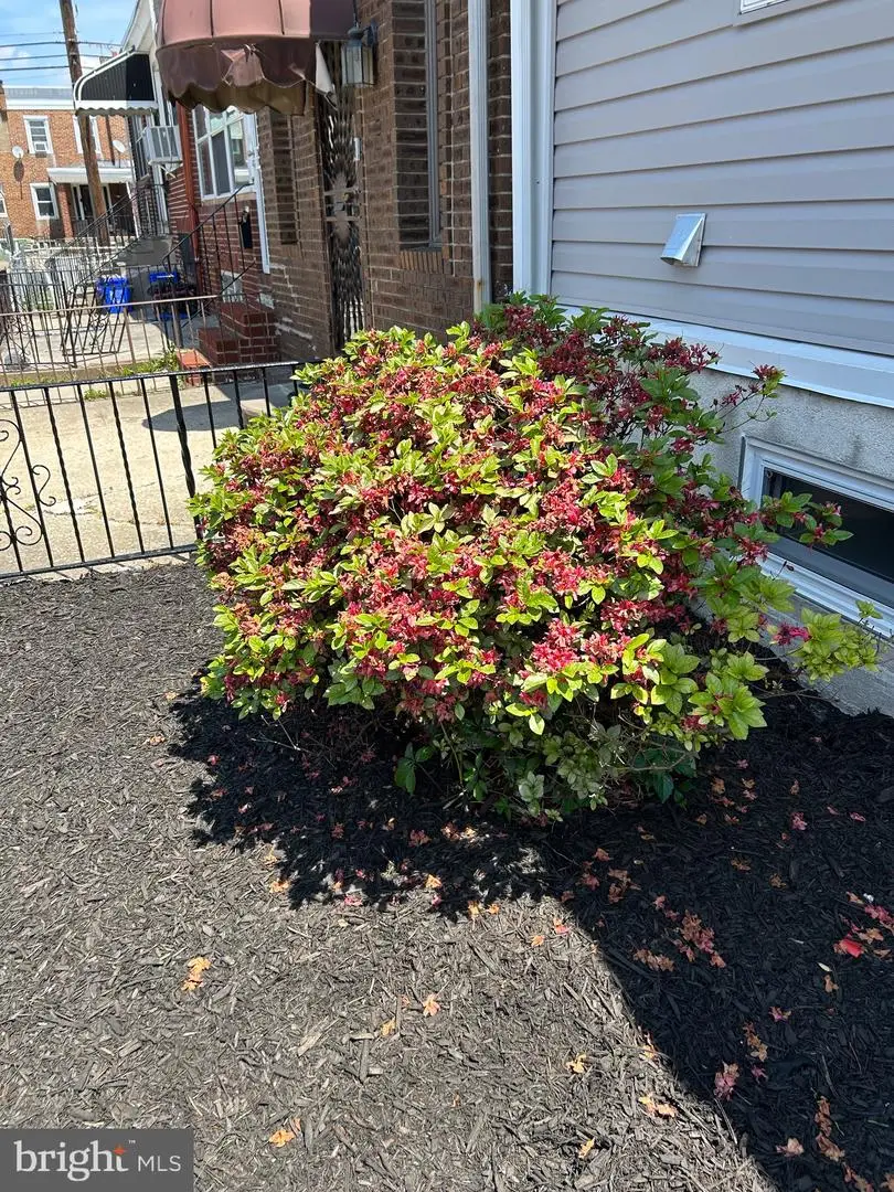 6908 Garman St, Philadelphia, PA 19142 - #3