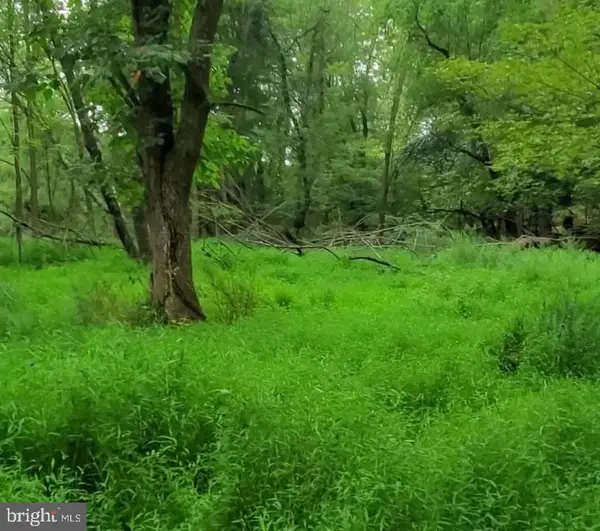 00 Mountain Avenue, MATAMORAS, PA 18336