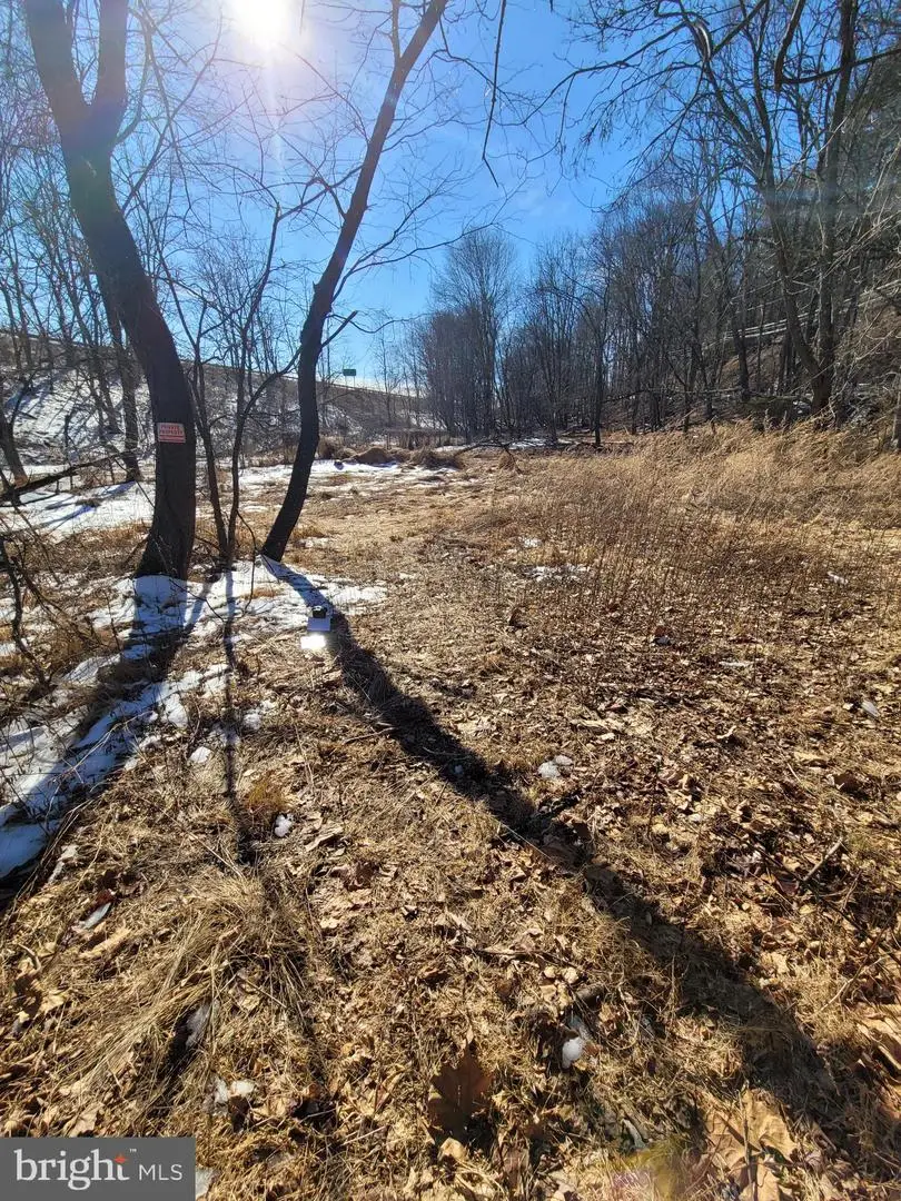 00 Mountain Avenue, Matamoras, PA 18336 - #2