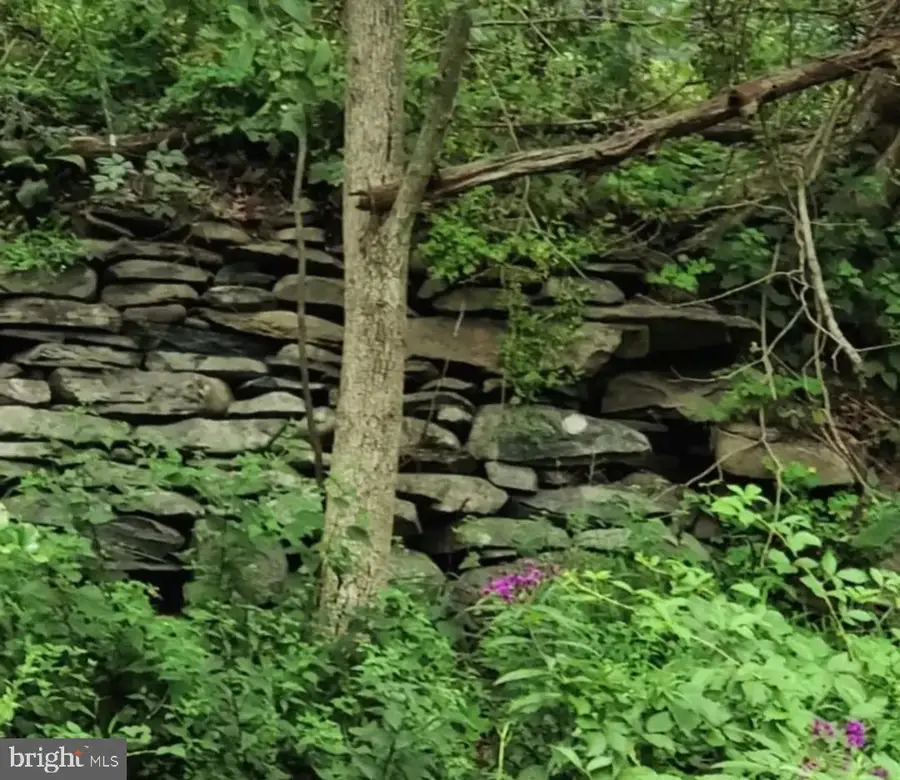 00 Mountain Avenue, Matamoras, PA 18336 - #3