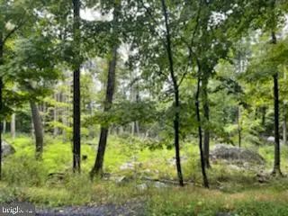 115 Falcon Crst, Greentown, PA 18426 - #1