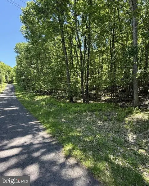 Paper Birch N, Tafton, PA 18464 - #1