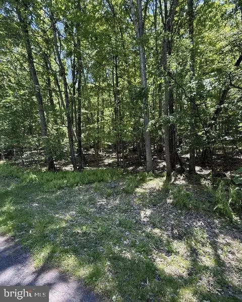Paper Birch N, Tafton, PA 18464 - #2
