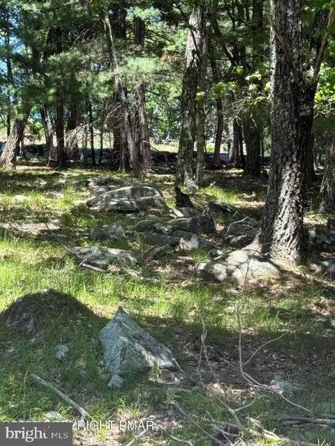 Song Mountain Drive, TAFTON, PA 18464