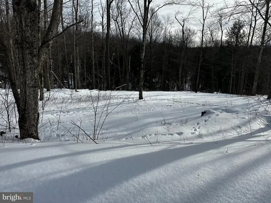 41 Melglen Ln, Coudersport, PA 16915 - #2