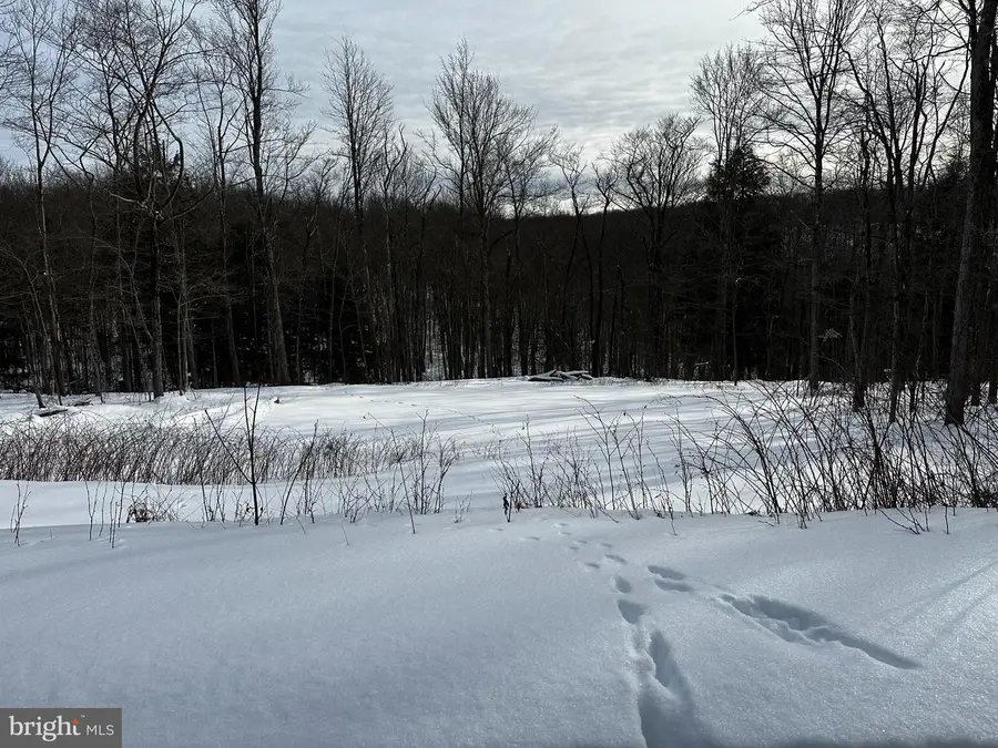 41 Melglen Ln, Coudersport, PA 16915 - #3