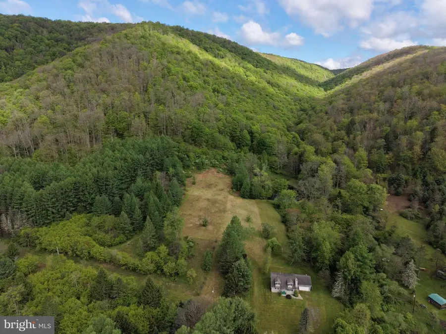 Tract 1: 1226 Cross Fork Creek Rd, Cross Fork, PA 17729 - #2