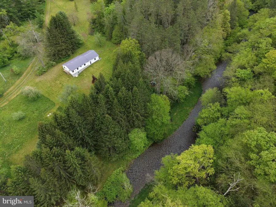 Tract 2: 1227 Cross Fork Creek Rd, Cross Fork, PA 17729 - #2