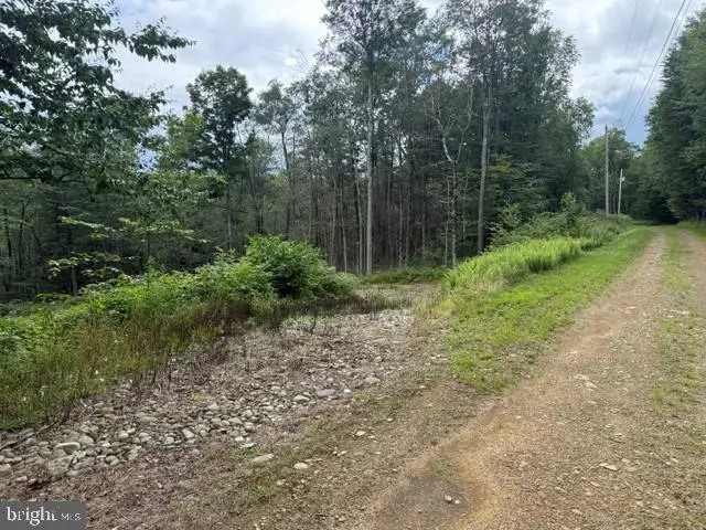 41 Melglen Ln, Coudersport, PA 16915 - #2