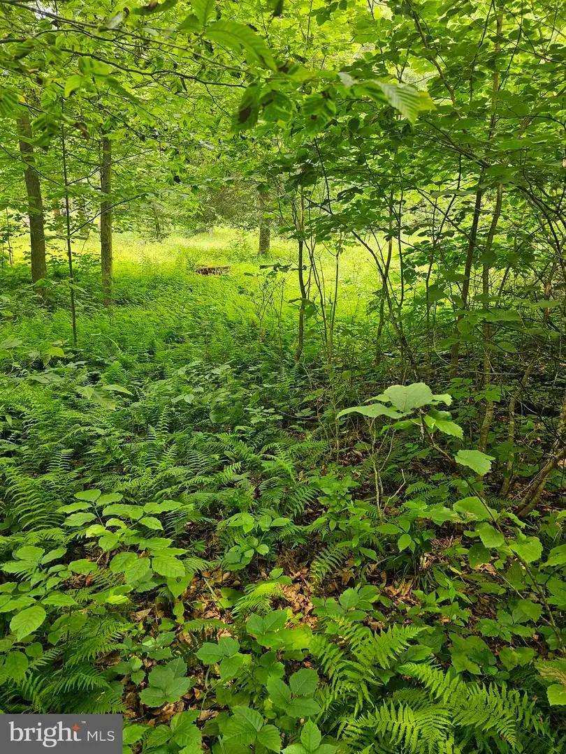 00 Pisgah Rest Rd, Shermans Dale, PA 17090 - Image #3