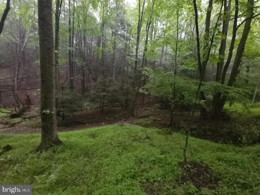 0 Spriggle Rd, Elliottsburg, PA 17024 - #2