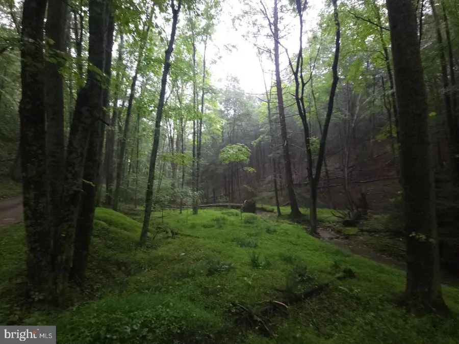 0 Spriggle Rd, Elliottsburg, PA 17024 - #3