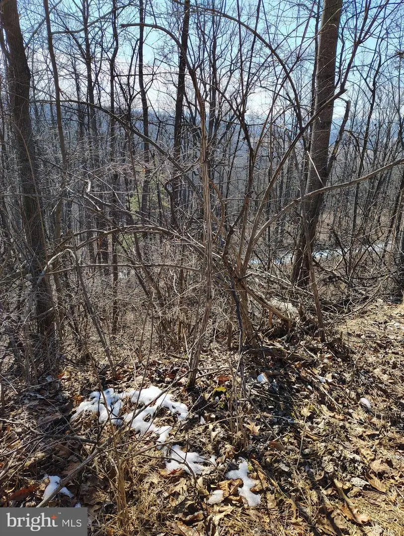 Lot 2 Kistler Rd, Elliottsburg, PA 17024 - #3