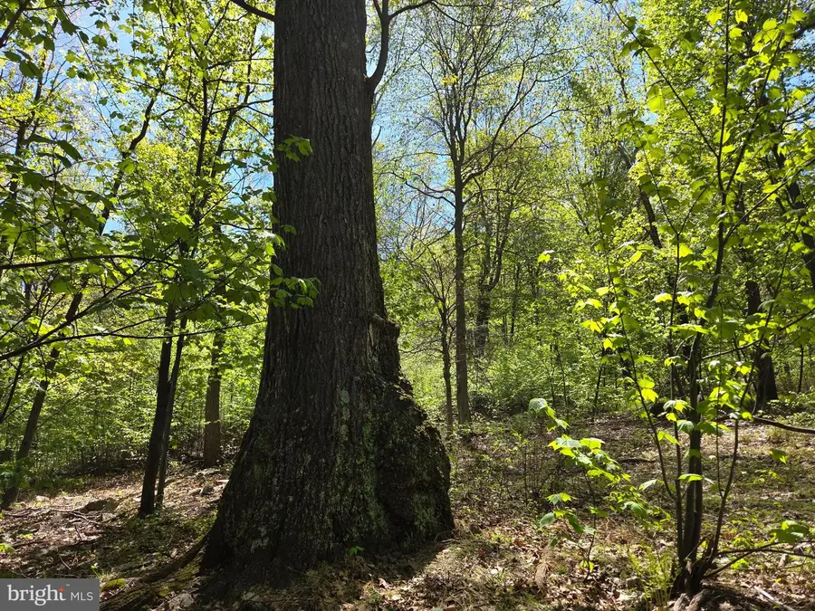 00 Mccabe Rd, Landisburg, PA 17040 - #3