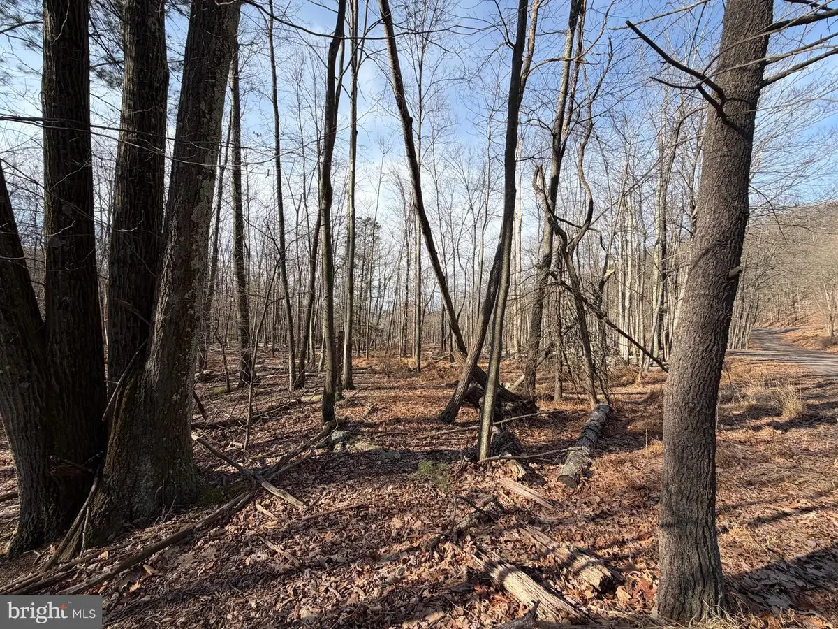 650 Aspen Drive, Zion Grove, PA 17985 - Image #1