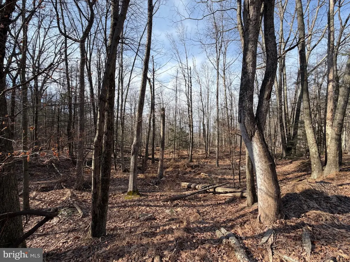 651 Aspen Drive, Zion Grove, PA 17985 - Image #1