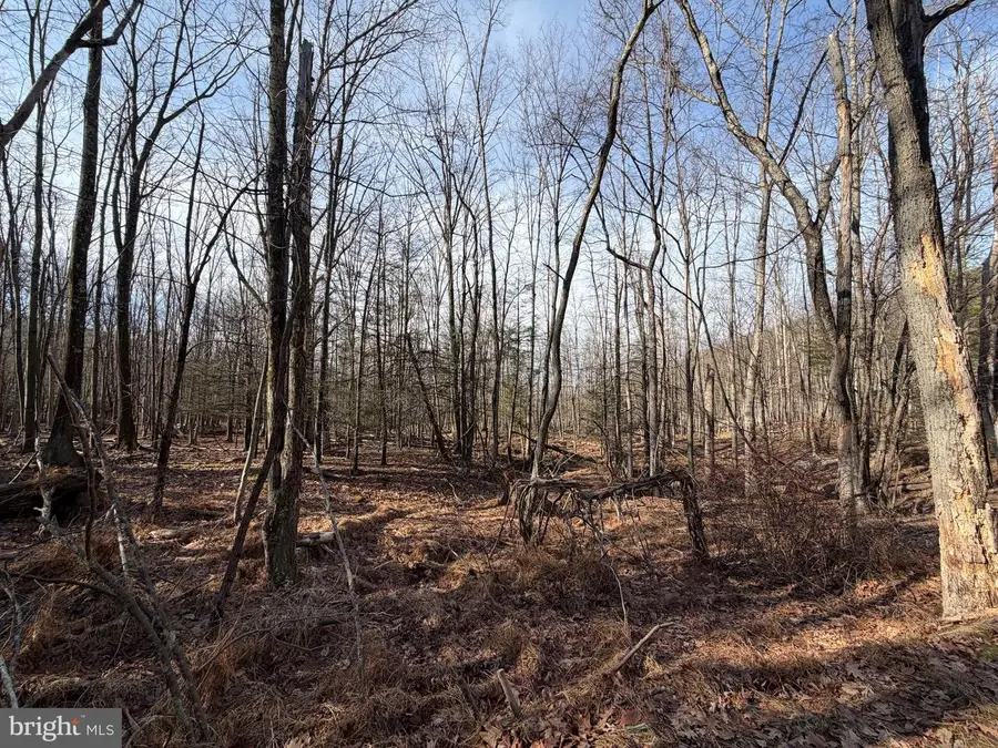 651 Aspen Drive, Zion Grove, PA 17985 - Image #2