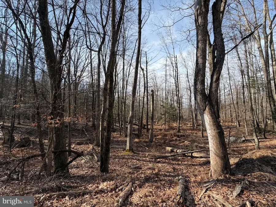 651 Aspen Drive, Zion Grove, PA 17985 - Image #3