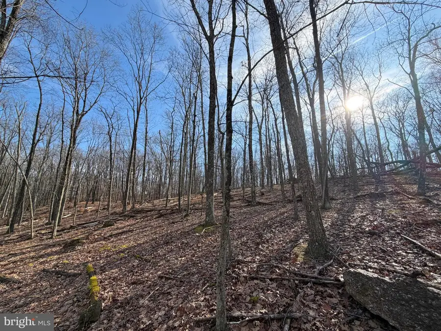 330 Whiteface Circle, Zion Grove, PA 17985 - Image #2