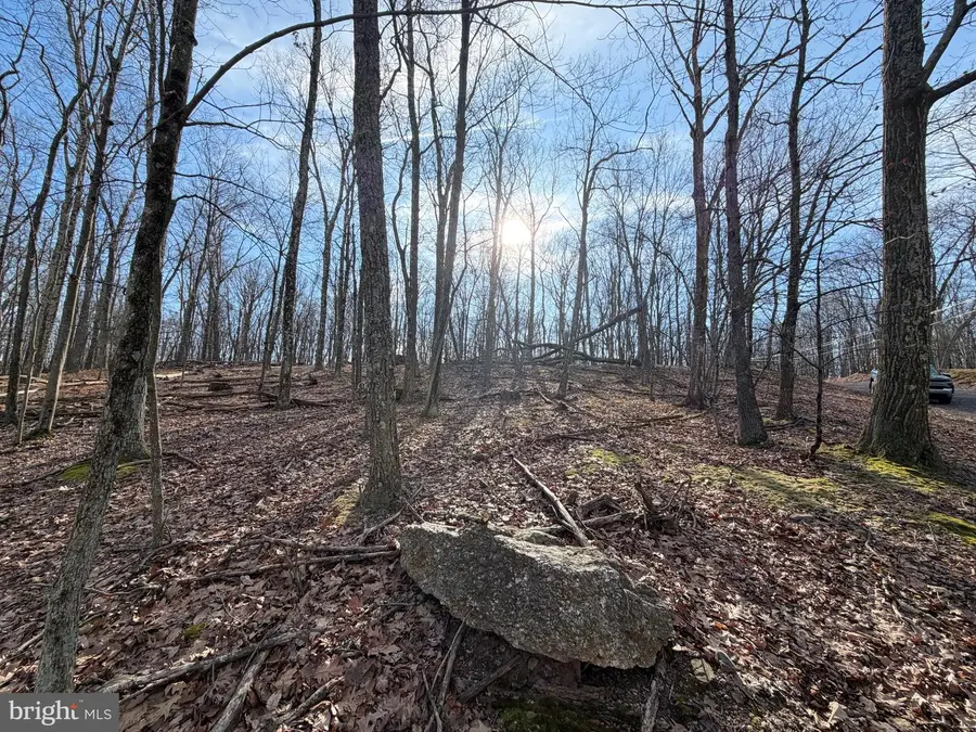 330 Whiteface Circle, Zion Grove, PA 17985 - Image #3