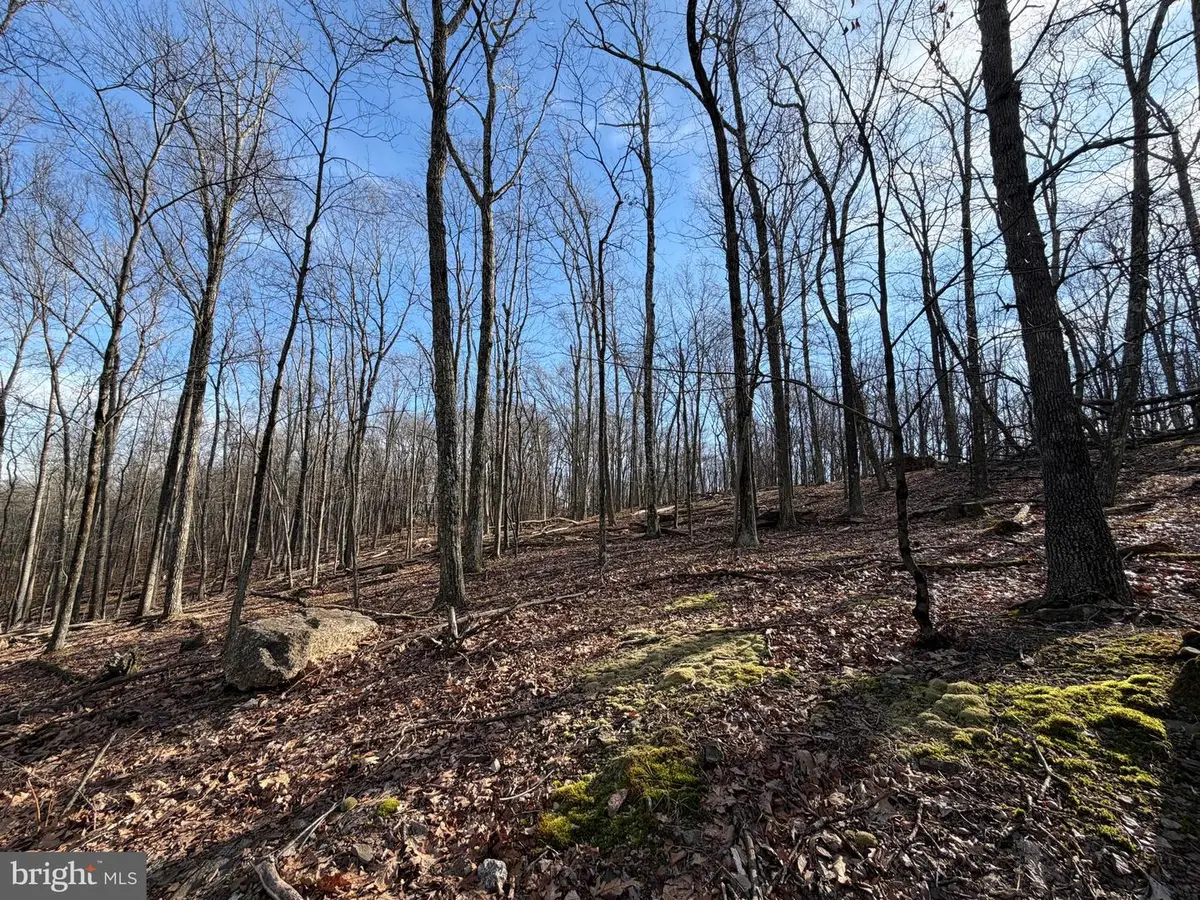 331 Whiteface Circle, Zion Grove, PA 17985 - Image #1