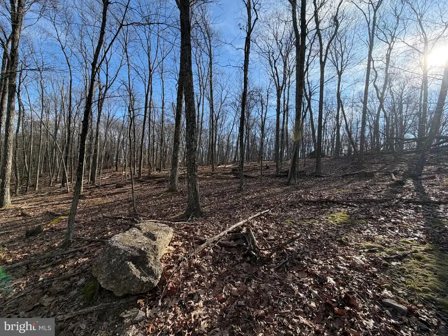 331 Whiteface Circle, Zion Grove, PA 17985 - Image #2