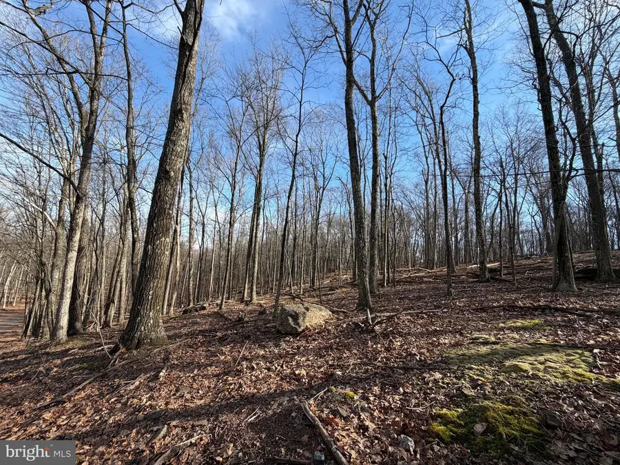 331 Whiteface Circle, Zion Grove, PA 17985 - Image #3