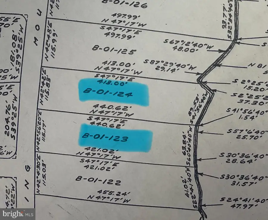 124 Spring Mountain Drive, Zion Grove, PA 17985 - Image #2