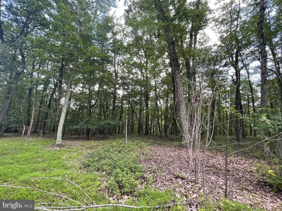 124 Spring Mountain Drive, Zion Grove, PA 17985 - Image #3